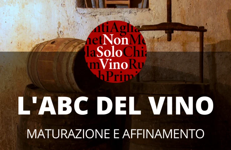 L’abc del vino