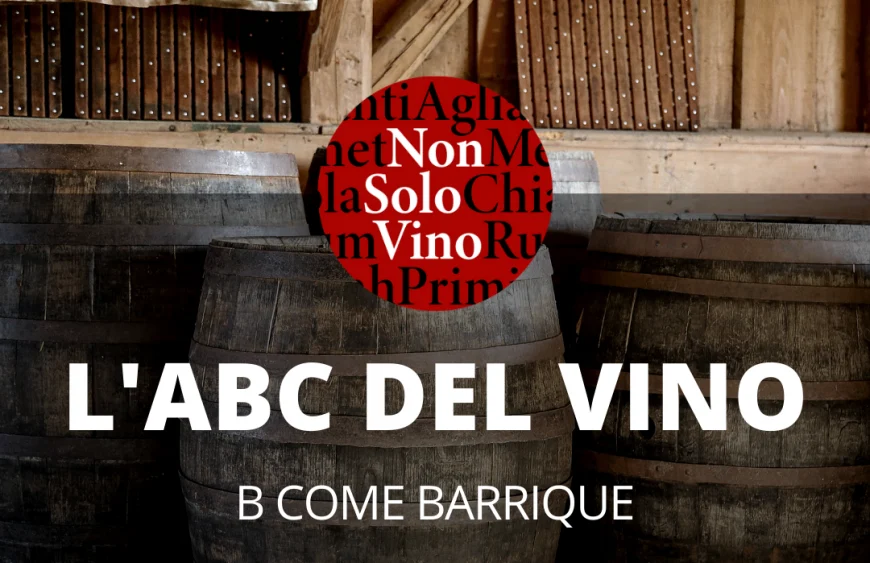 L’abc del vino b come barrique