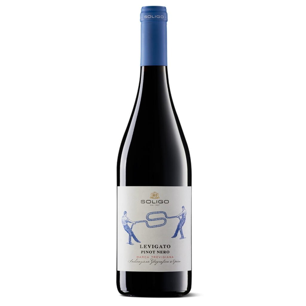 Colli Soligo - Pinot Noir "Levigato" 2020 Marca Trevigiana IGT